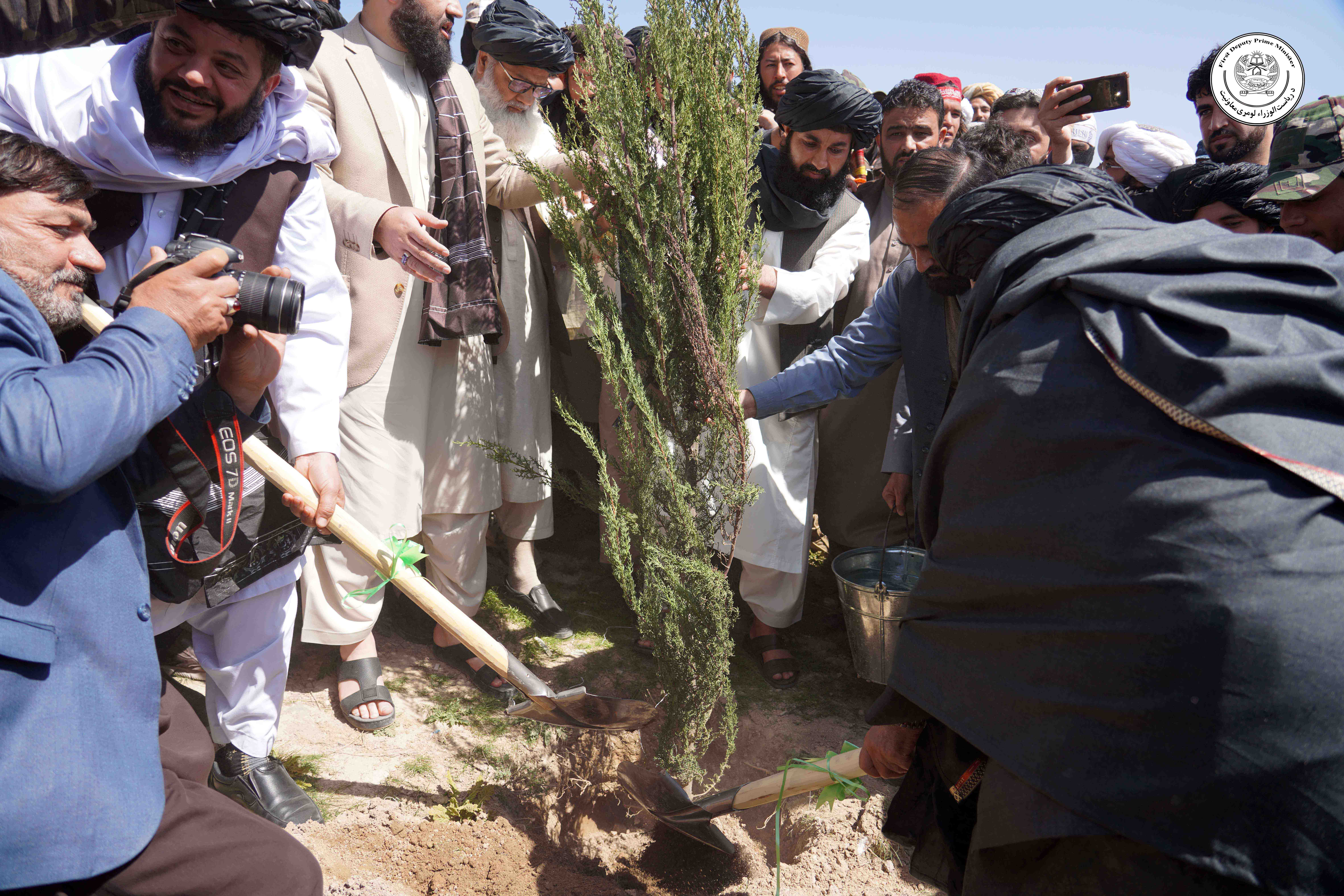 د چاپېریال ساتنې ملي ادارې لخوا د نیالګیو کېنولو ملي کمپاین کې د ریاست‌الوزراء د لومړي مرستیال ګډون