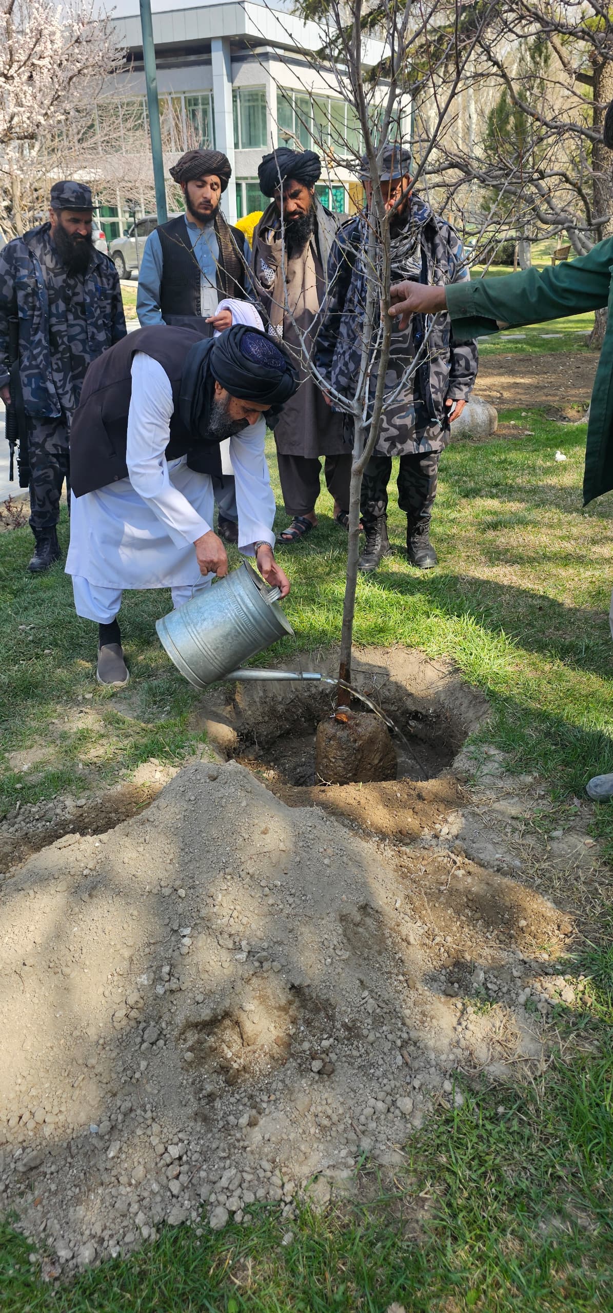 د ریاست الوزراء اقتصادي مرستیال د هېواد د سمسورتیا په موخه د ارګ په انګړ کې نیالګی کیناوه
