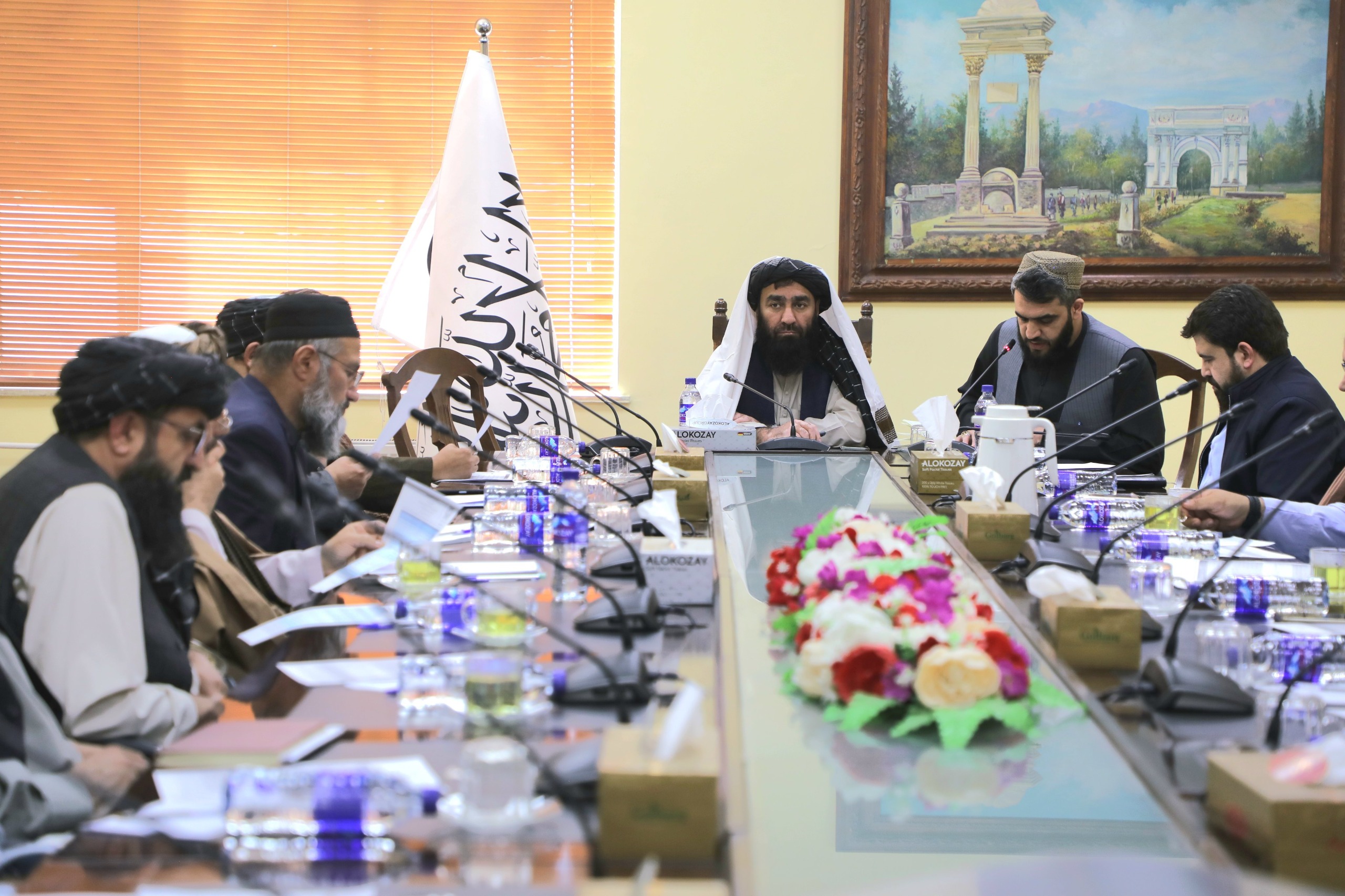 د احصایې او معلوماتو ملي ادارې موجوده سیسټمونه به عصري او کاري ظرفیت به یې لوړ شي