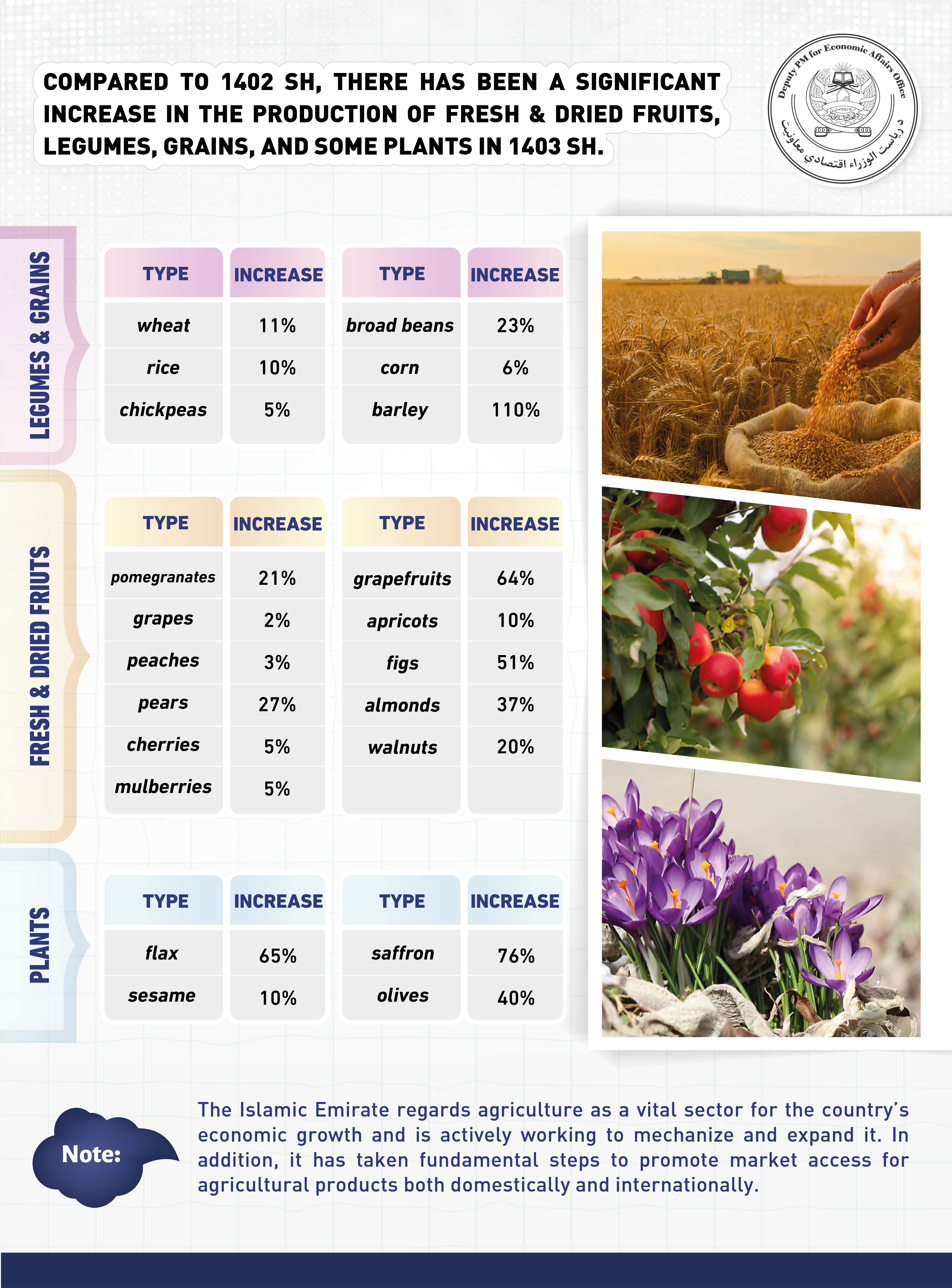 Infographic