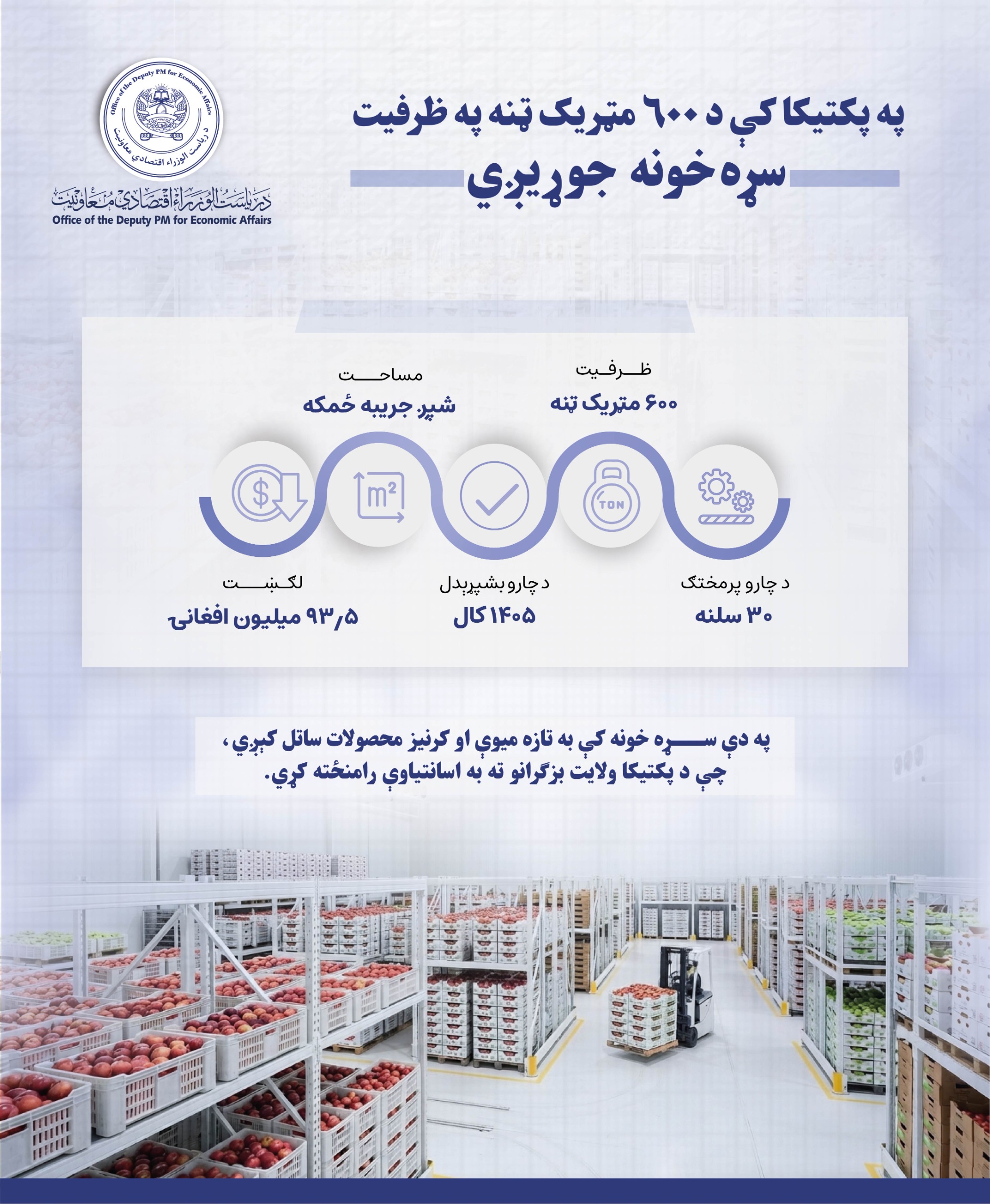 Infographics